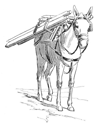 Donkey Carrying Load Coloring Page